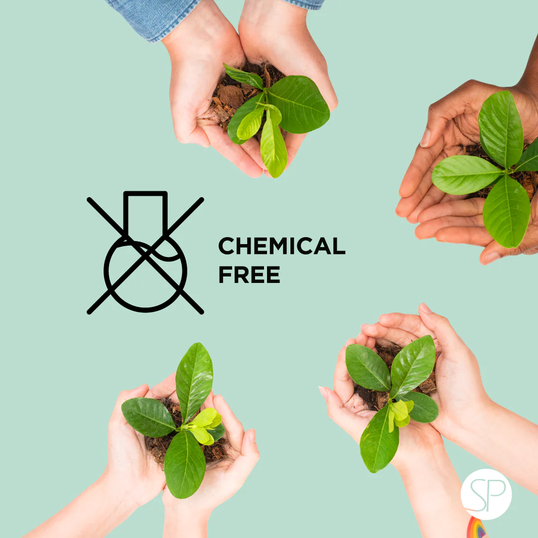 100% Organic Sunscreen - Kids - Image 14